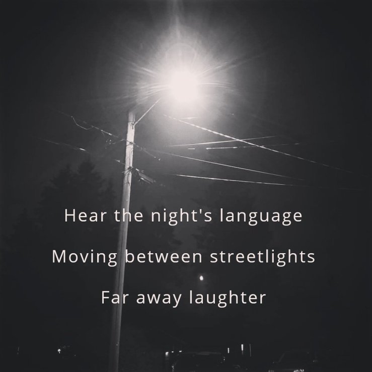 Hear the night's language, Moving between streetlights 
Far away laughter 