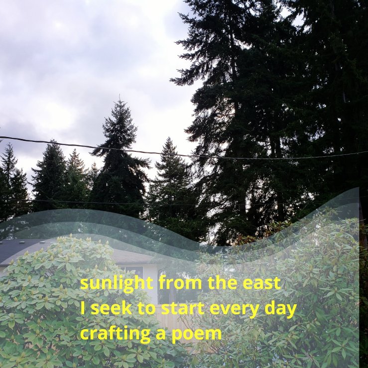 sunlight from the east,
I seek to start every day,
crafting a poem 